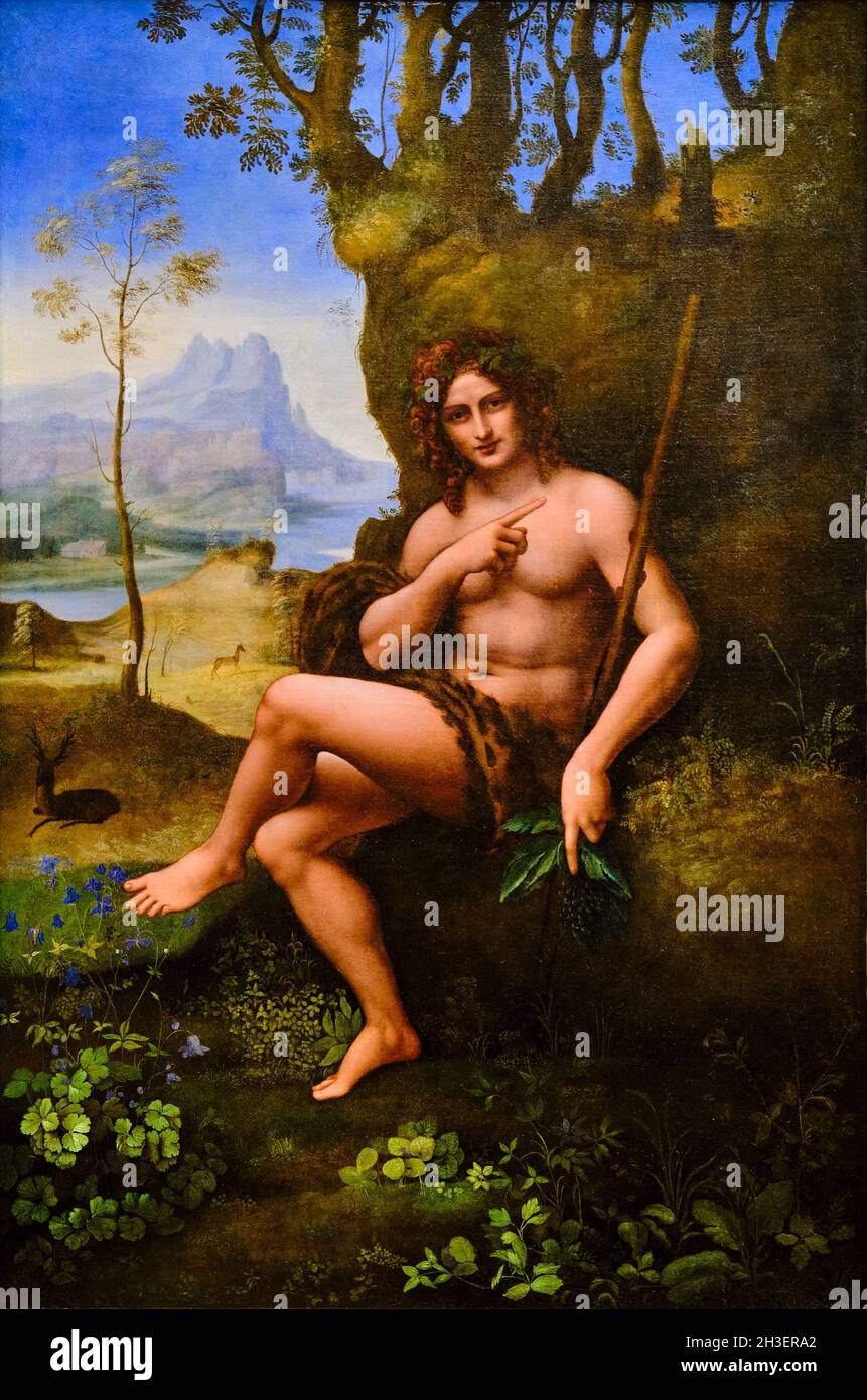France, Paris, Musée du Louvre, Saint Jean-Baptiste, Francesco Melzi, atelier Leonardo da Vinci Banque D'Images