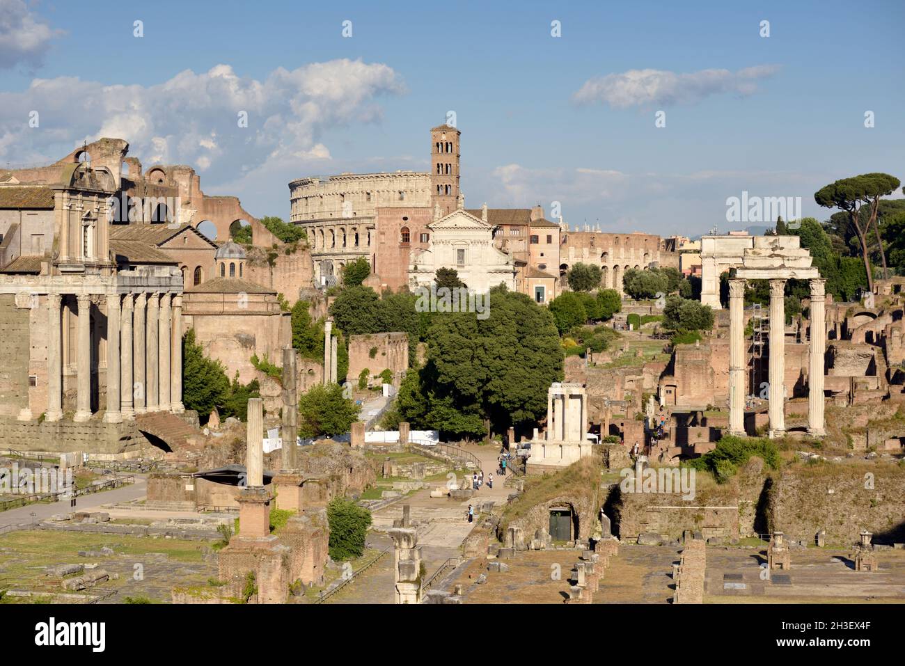 L'Italie, Rome, Forum Romain Banque D'Images