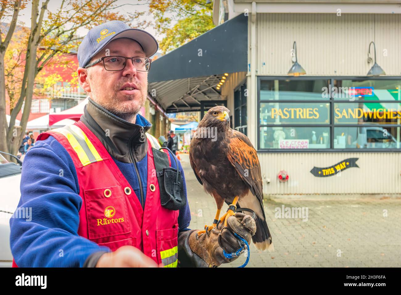 Homme montrant un oiseau de rapaces au marché de Granville Island à Vancouver, Colombie-Britannique, Canada. Banque D'Images