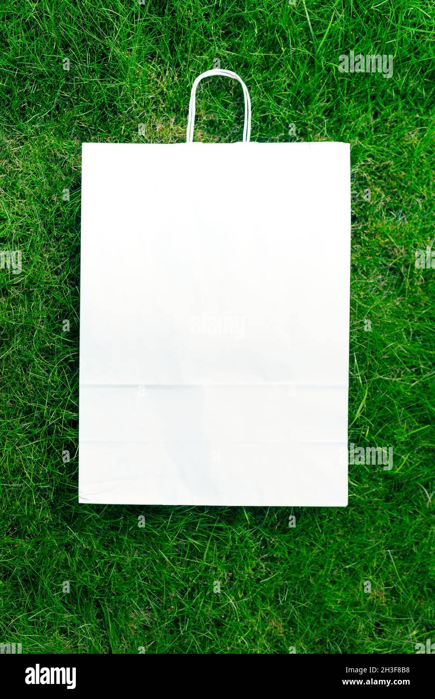 Vue de dessus d'un cadre en herbe de printemps verte et emballage en papier avec poignées avec espace pour le logo. Un concept naturel. Banque D'Images