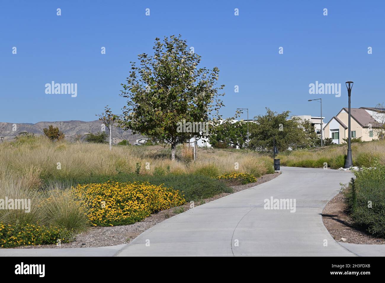 IRVINE, CALIFORNIE - 27 octobre 2021 : Great Park Trails offrent 1.5 kilomètres d'espace de marche et de vélo dans la région de Upper Bee et Bosque. Banque D'Images