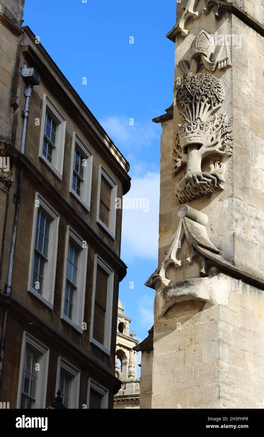 Sculptures d'un olivier à l'abbaye de Bath.La légende l'a dit l'évêque Oliver King a été inspiré pour reconstruire l'abbaye en 1499 après avoir rêver de l'arbre et de la couronne Banque D'Images