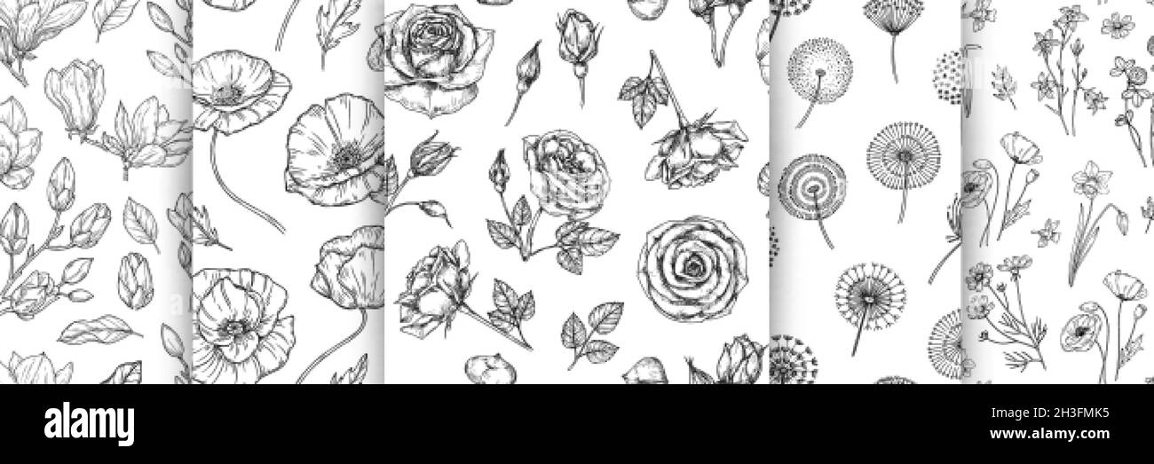 Ensemble à motif fleuri.Fleur rose pissenlit magnolia texture sans couture.Jeu d'arrière-plan vectoriel de fleurs de jardin sauvage Illustration de Vecteur