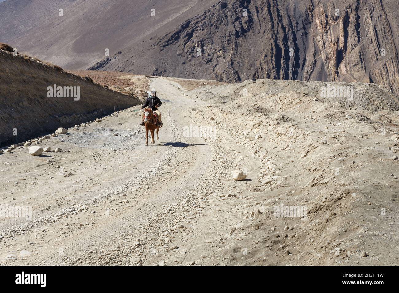 Kagbeni, Mustang District, Népal - 19 novembre 2016 : un cavalier népalais sur un cheval se déplace le long d'une route dans l'Himalaya.Muktinath Sadak Banque D'Images