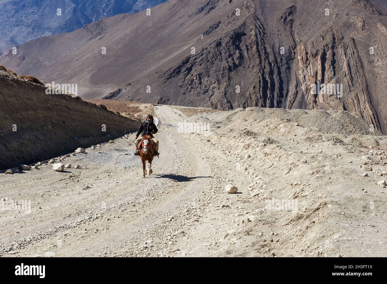 Kagbeni, Mustang District, Népal - 19 novembre 2016 : un cavalier népalais sur un cheval se déplace le long d'une route dans l'Himalaya.Muktinath Sadak Banque D'Images