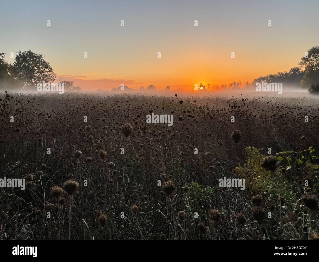Coucher de soleil rural avec wafts de brume Banque D'Images