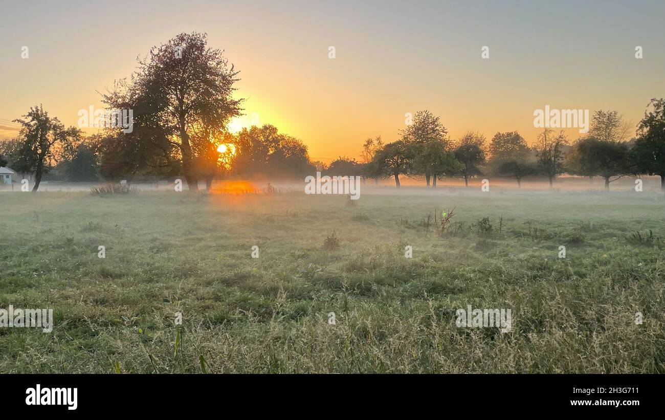 Coucher de soleil rural avec wafts de brume Banque D'Images