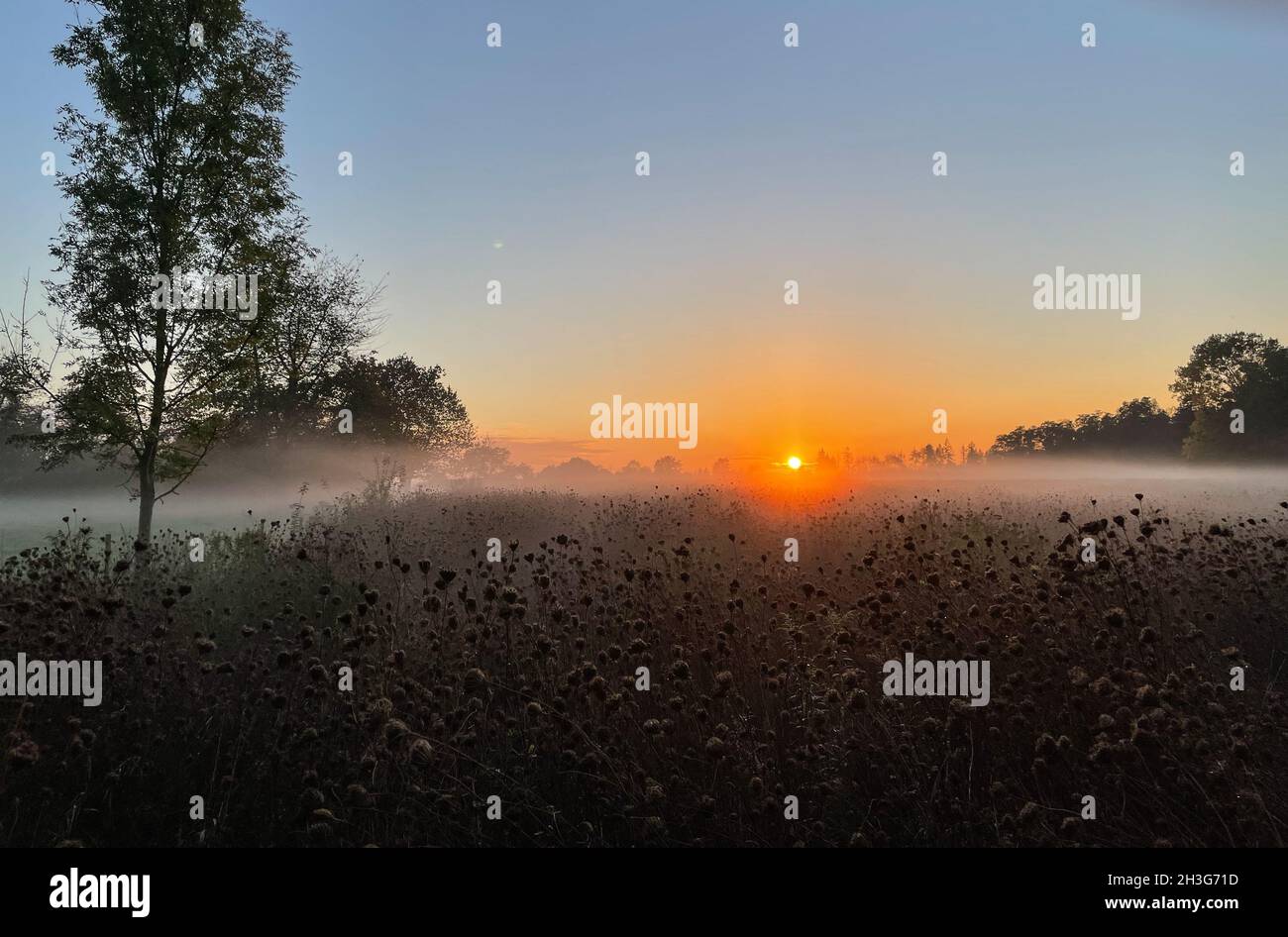 Coucher de soleil rural avec wafts de brume Banque D'Images