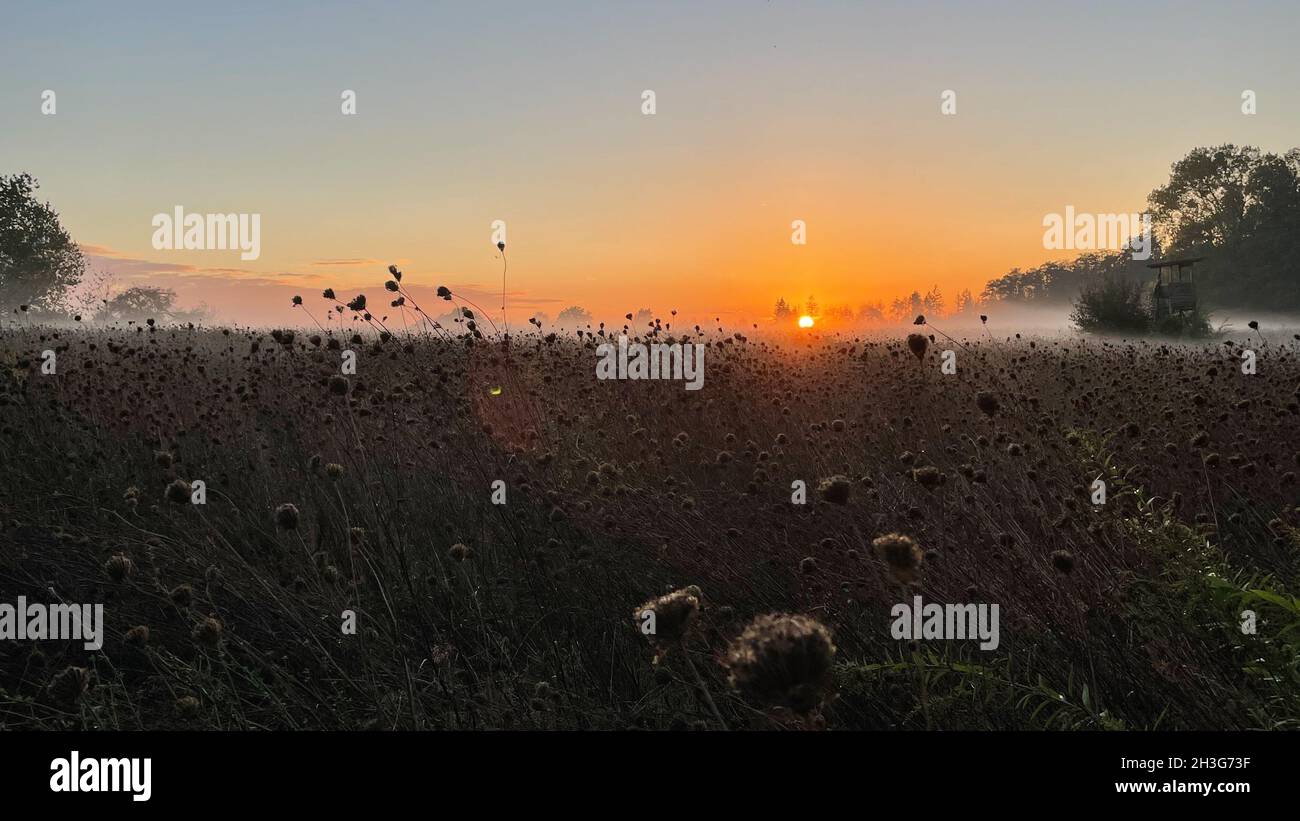 Coucher de soleil rural avec wafts de brume Banque D'Images