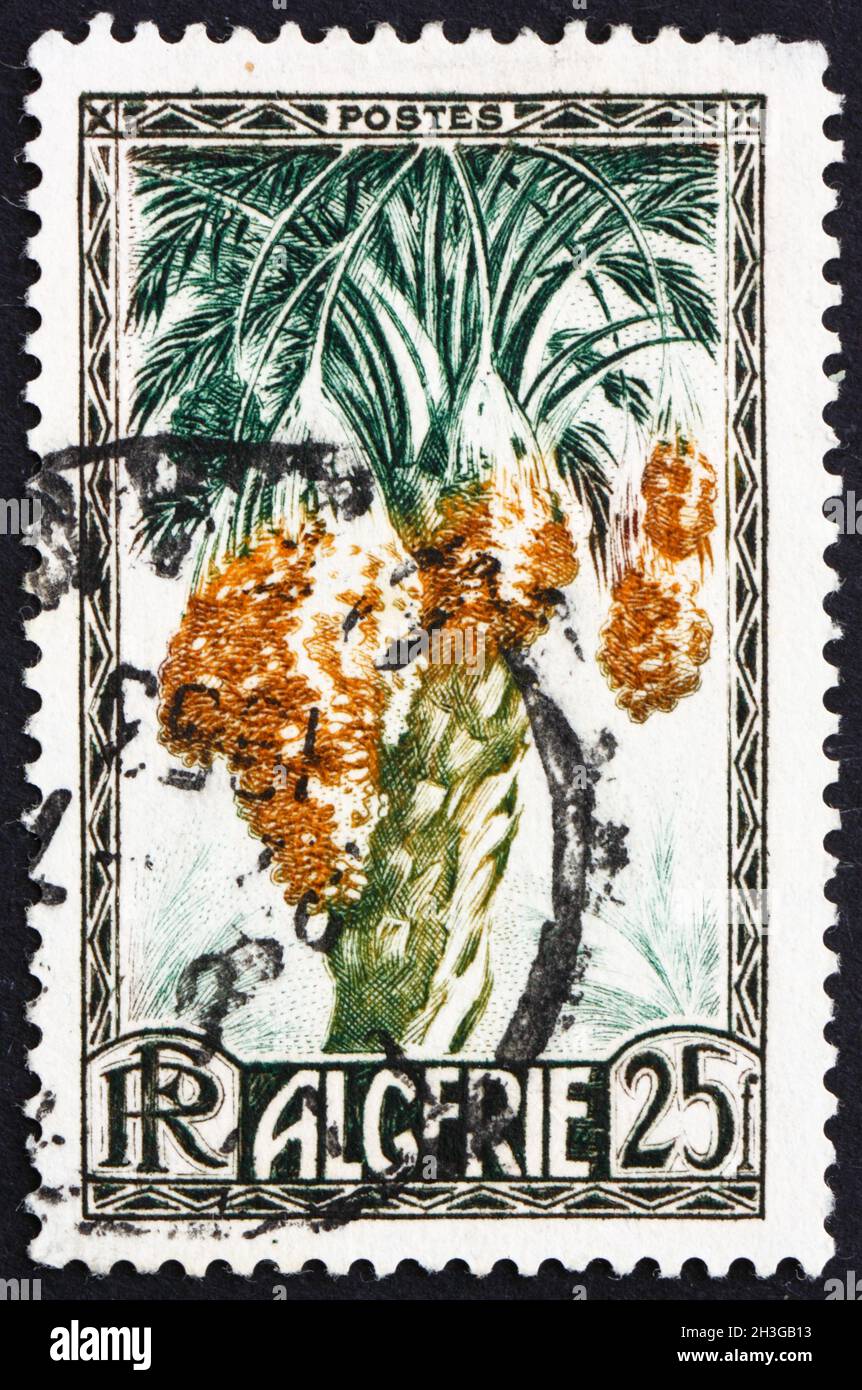 ALGÉRIE - VERS 1972: Un timbre imprimé en Algérie montre des dates sur le dattier, le phoenix dactylifera, les fruits comestibles doux, vers 1972 Banque D'Images