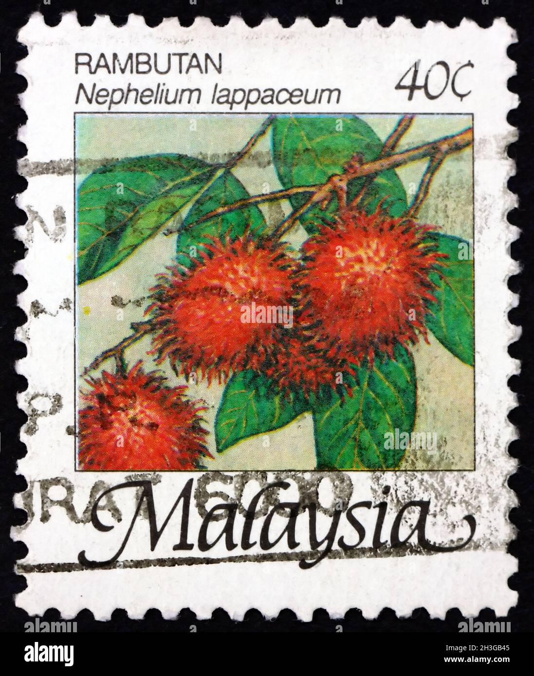 MALAISIE - VERS 1986 : un timbre imprimé en Malaisie montre le rambutan (néphélium lappaceum), fruit comestible produit par cet arbre, vers 1986 Banque D'Images