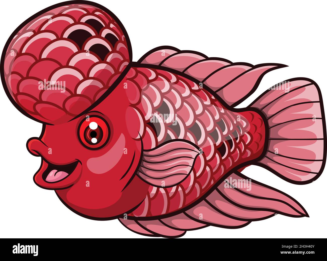 Dessin animé flowerhorn poisson sur fond blanc Illustration de Vecteur