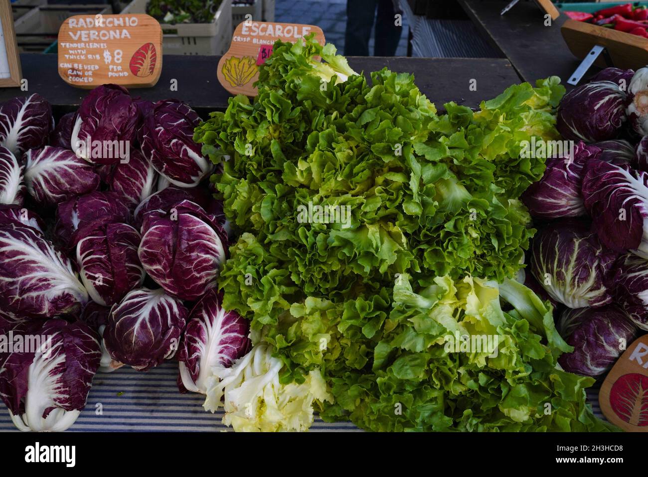 Abondance de produits frais cultivés localement offerts par les agriculteurs au marché Union Square de New York. Banque D'Images
