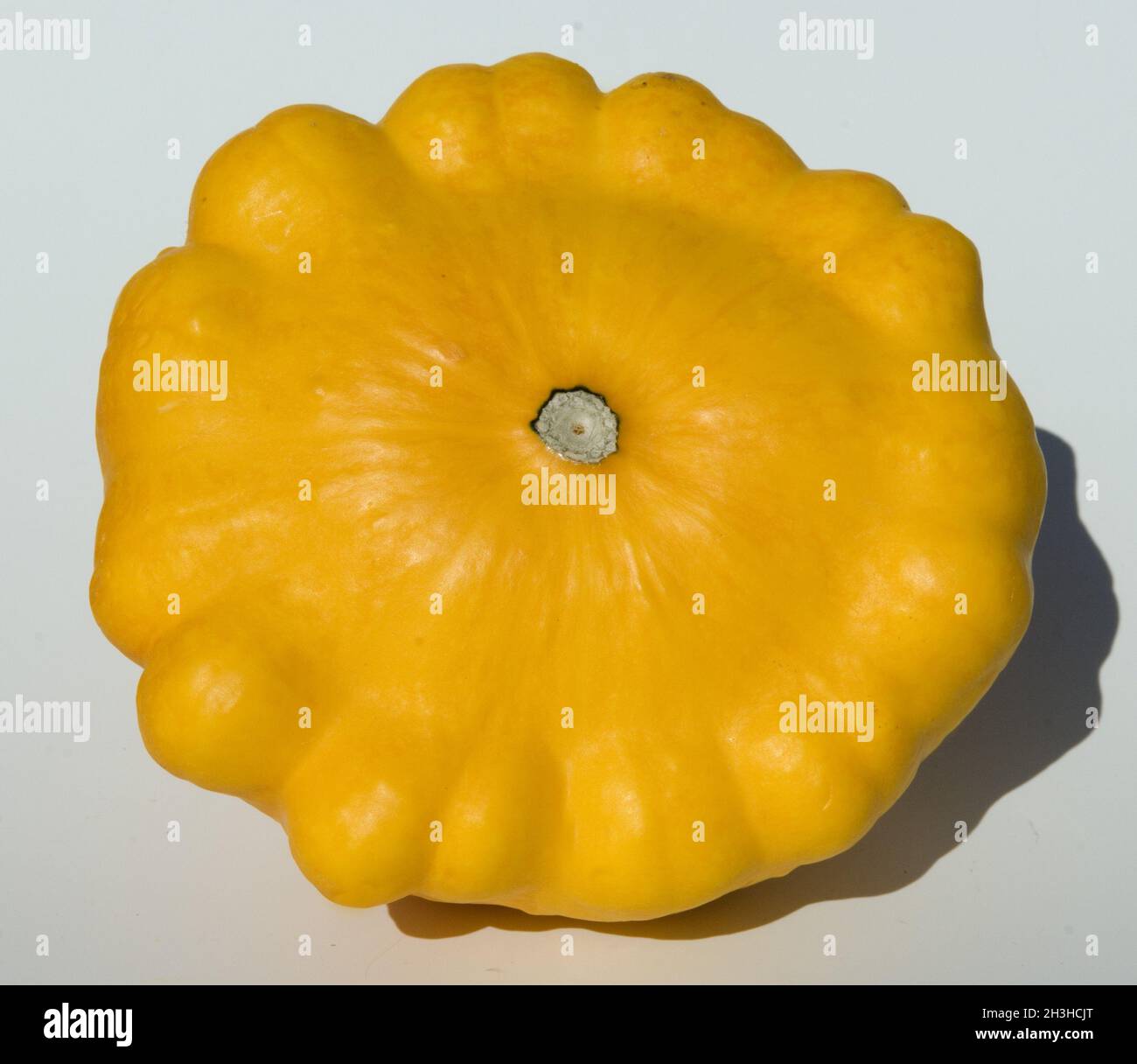 Patisson Banque D Image Et Photos Alamy