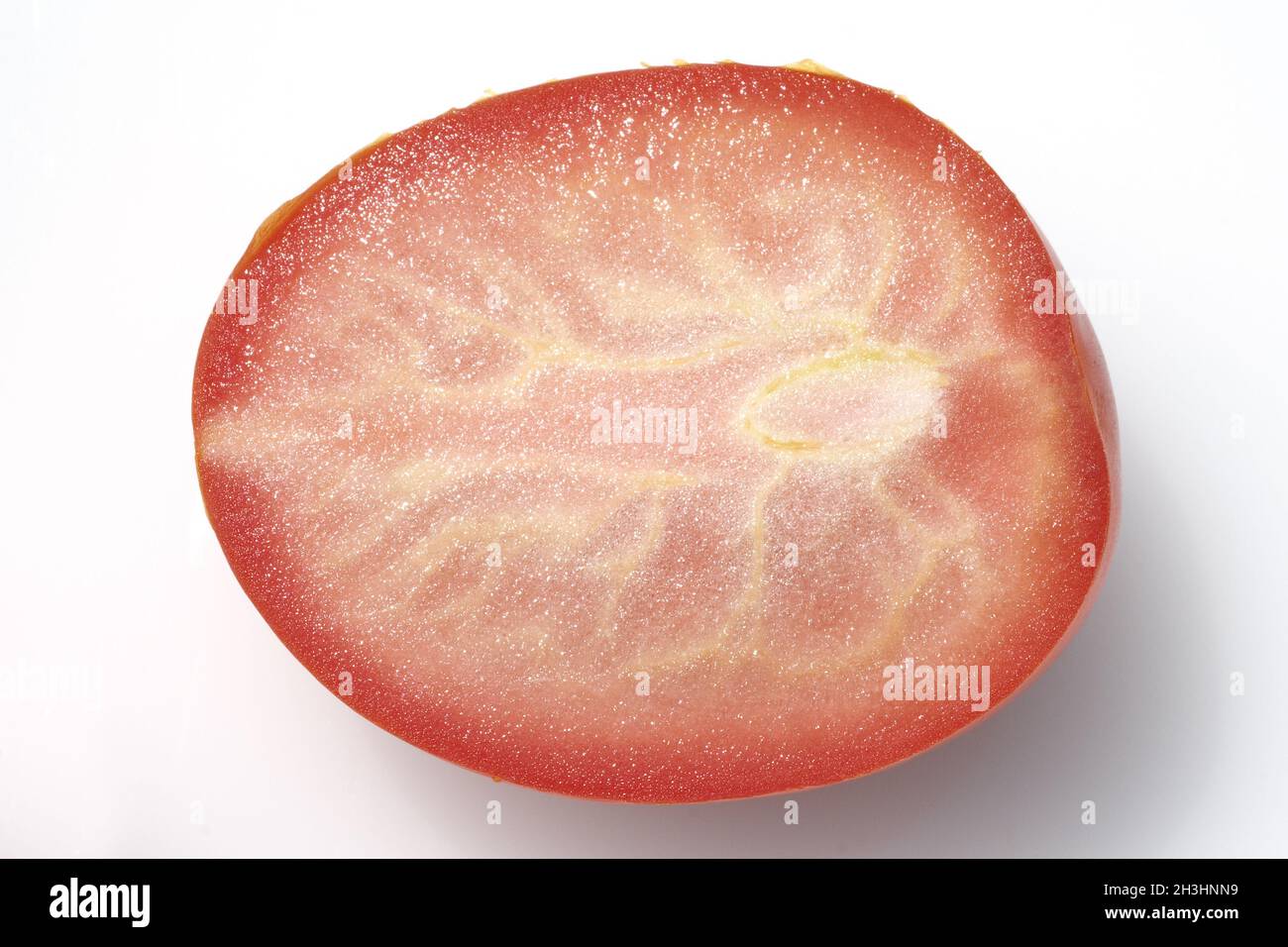 , Roma-Tomaten Romatomaten, Lycopersicon esculentum ; Banque D'Images