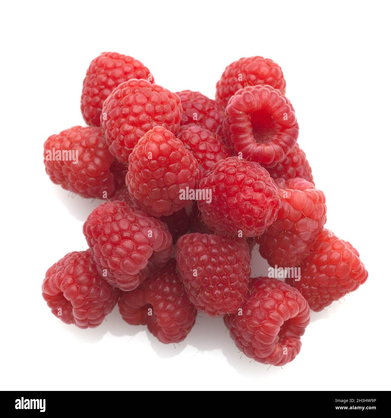 Framboise ; Rubus, idaeus ; baie sauvage ; baie creuse ; Banque D'Images