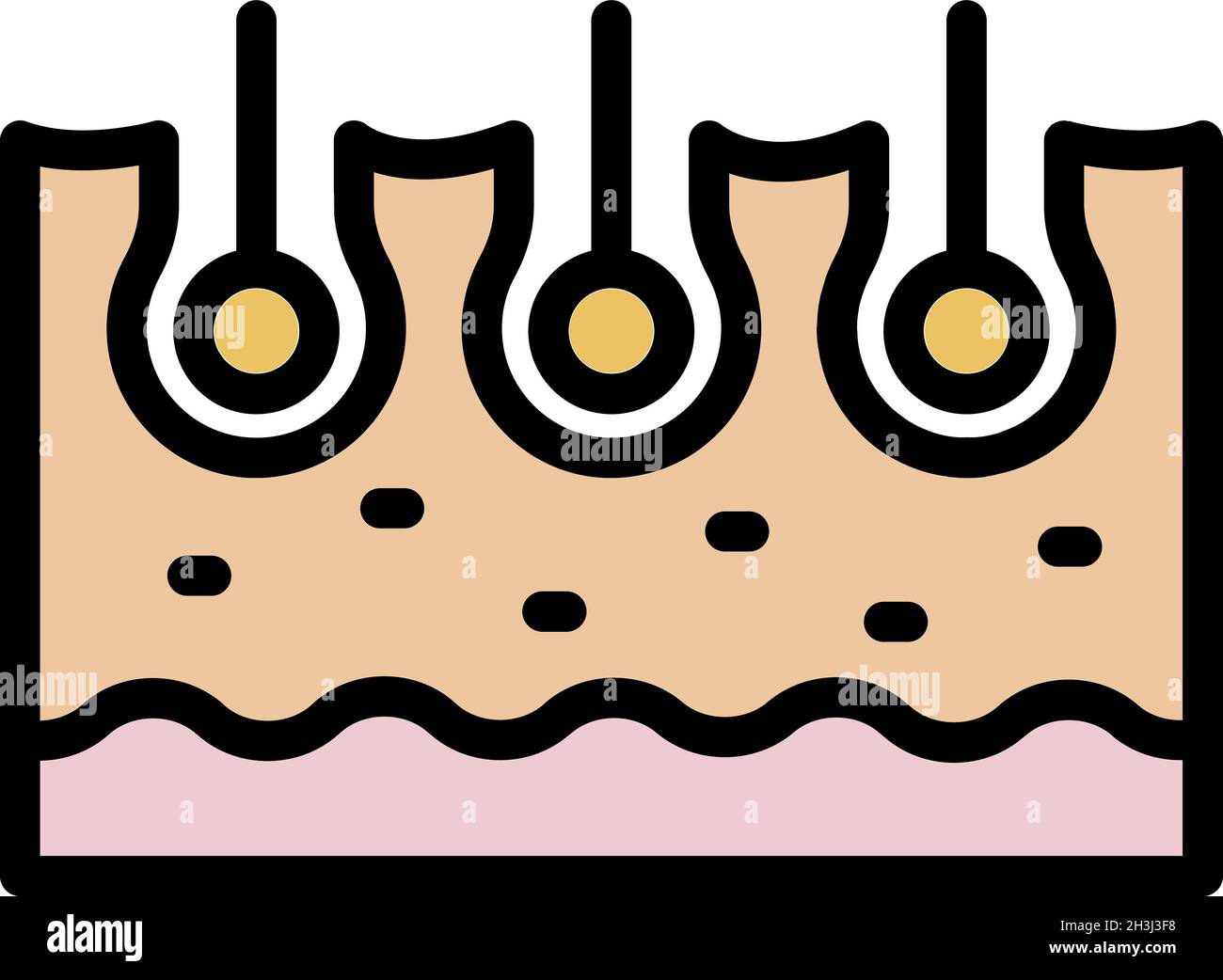 Icône en forme de peau coupée.Contour de la peau coupée vecteur de cheveux icône couleur plat isolé Illustration de Vecteur