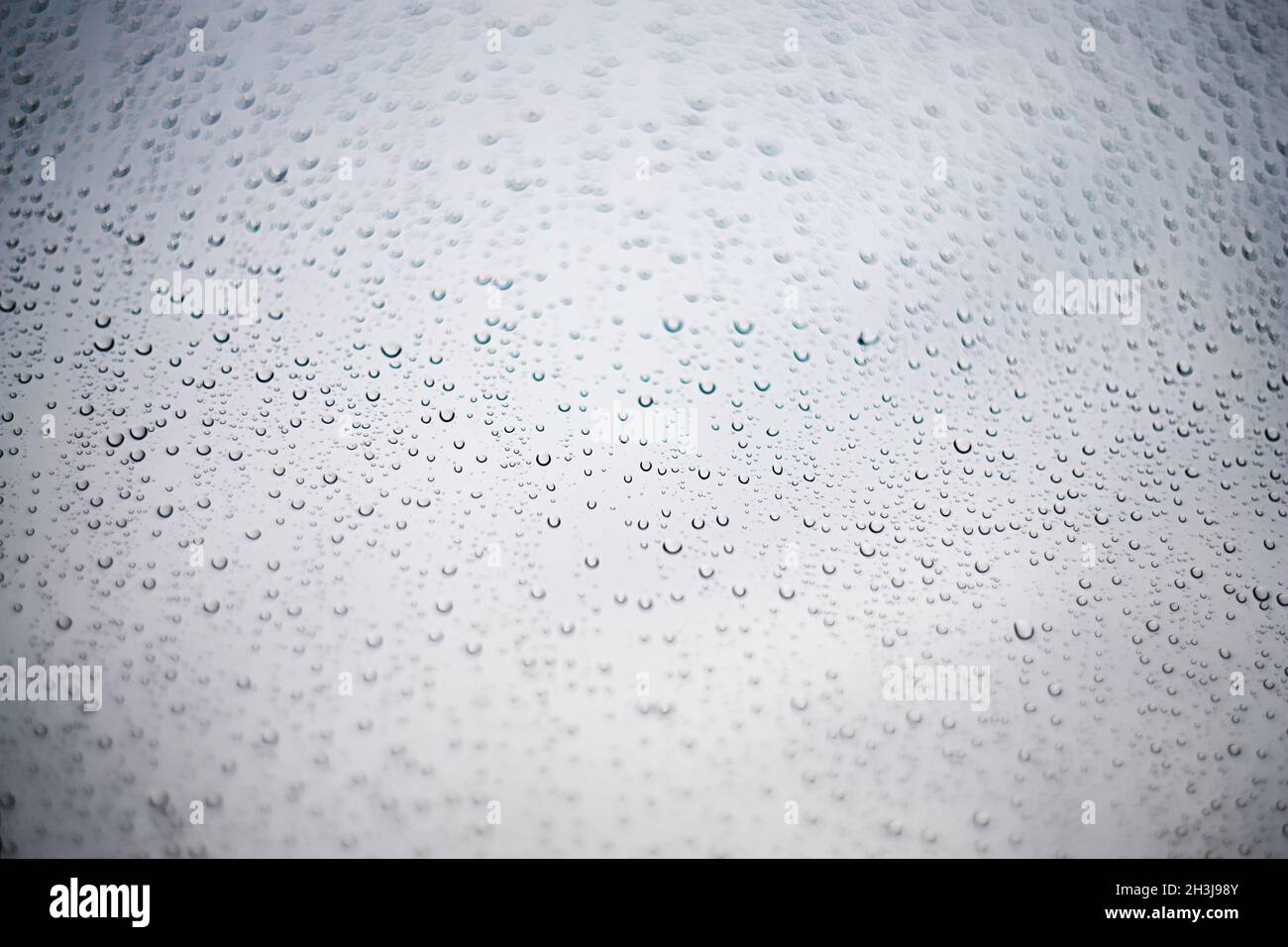 Gouttes de pluie sur le verre ou la fenêtre filmées en angle sur un arrière-plan clair et transparent.Textures d'automne, arrière-plans. Banque D'Images