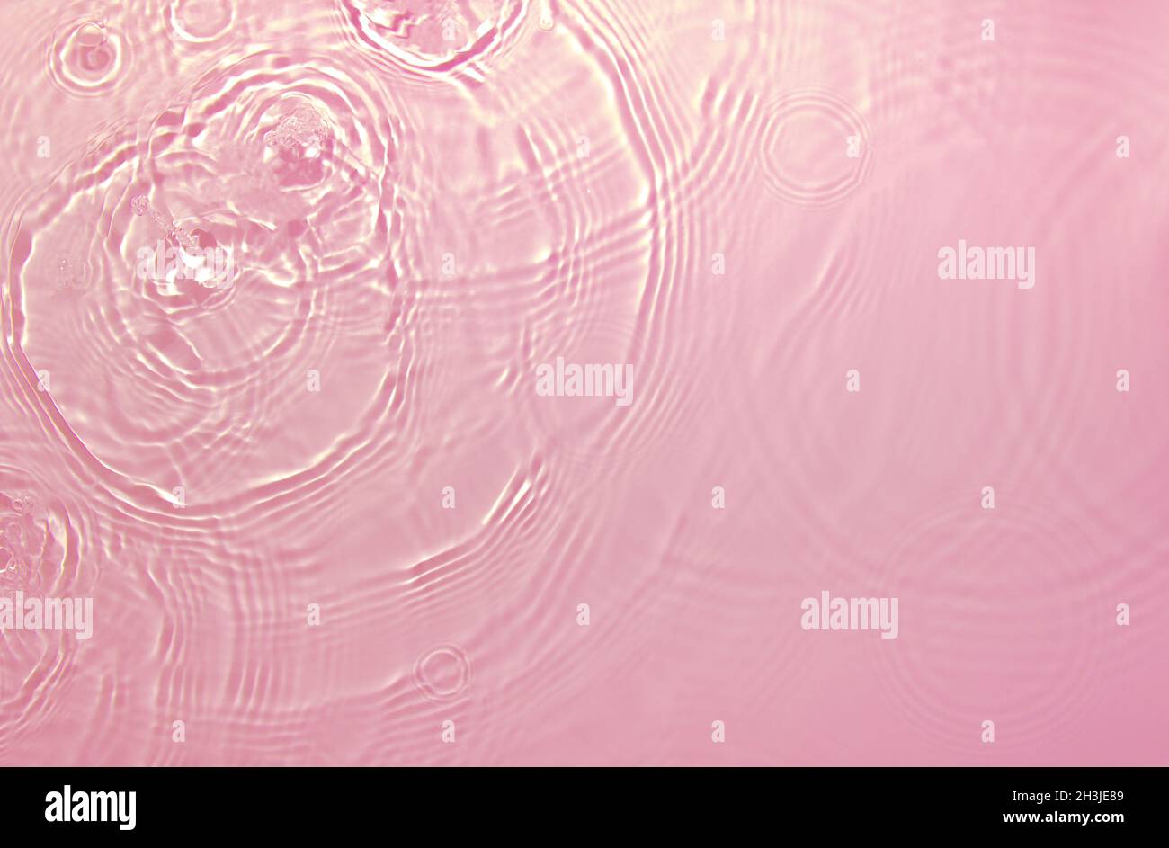 rose transparent eau transparente texture de surface été fond Banque D'Images