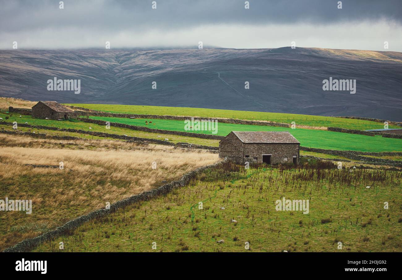 Les barines traditionnelles en pierre, les murs et les landes en pierre sèche, Wharfedale, le parc national de Yorkshire Dales, North Yorkshire, Angleterre Banque D'Images