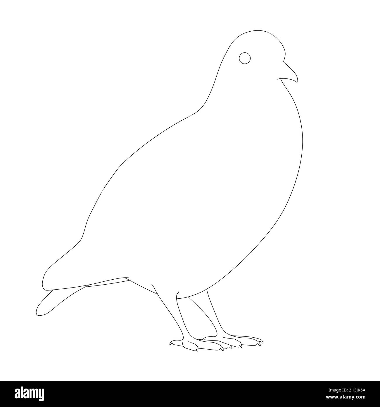 Contour d'une colombe à partir de lignes noires isolées sur un fond blanc.Illustration vectorielle Illustration de Vecteur Contour d'une colombe à partir de lignes noires isolées sur un fond blanc.Illustration vectorielle Illustration de Vecteur
