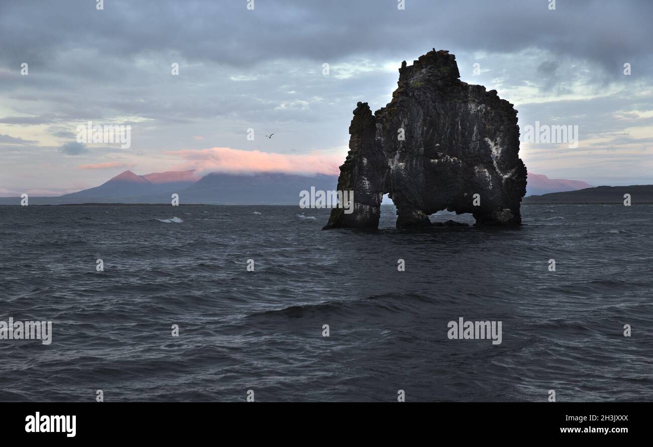 Dragon potable, roche exposée en Islande, littoral de l'océan Atlantique. Banque D'Images