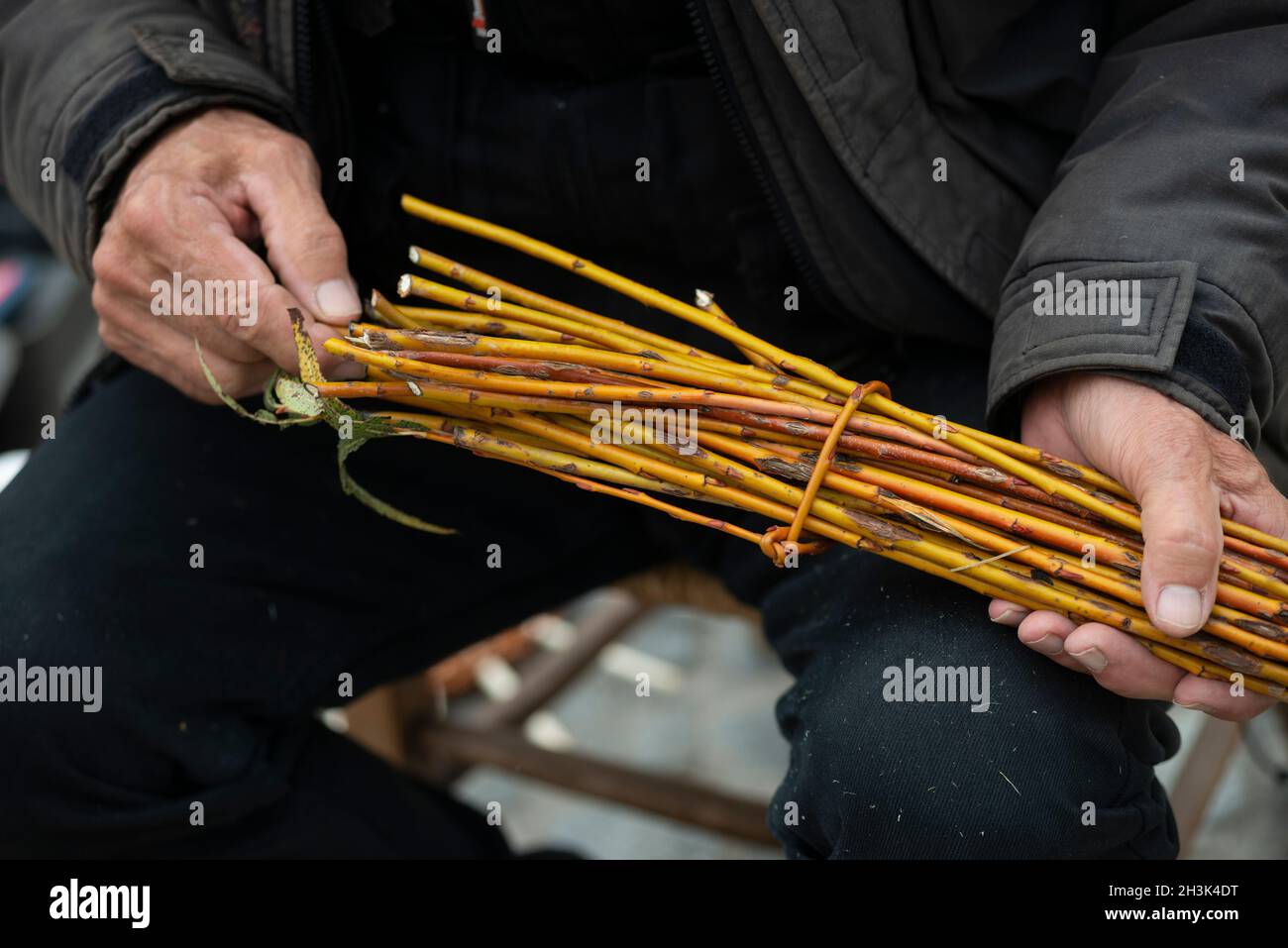 Italie , Lombardie, Craftsman faire un panier en osier Banque D'Images