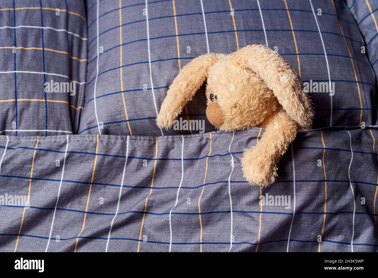 Lapin farci dans le lit avec oreillers et couette. Banque D'Images