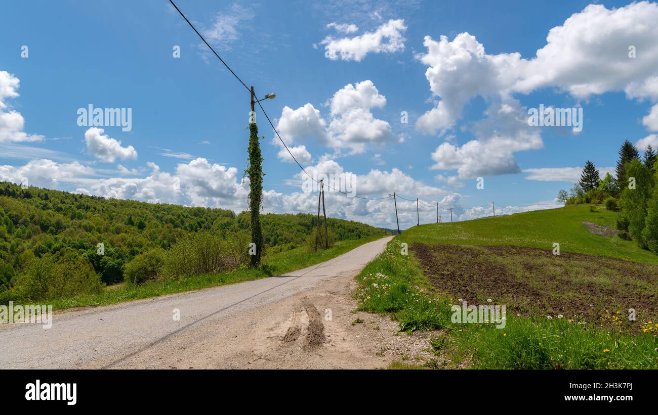 Une route traversant un paysage vallonné avec un éclairage public envahi de lierre Banque D'Images