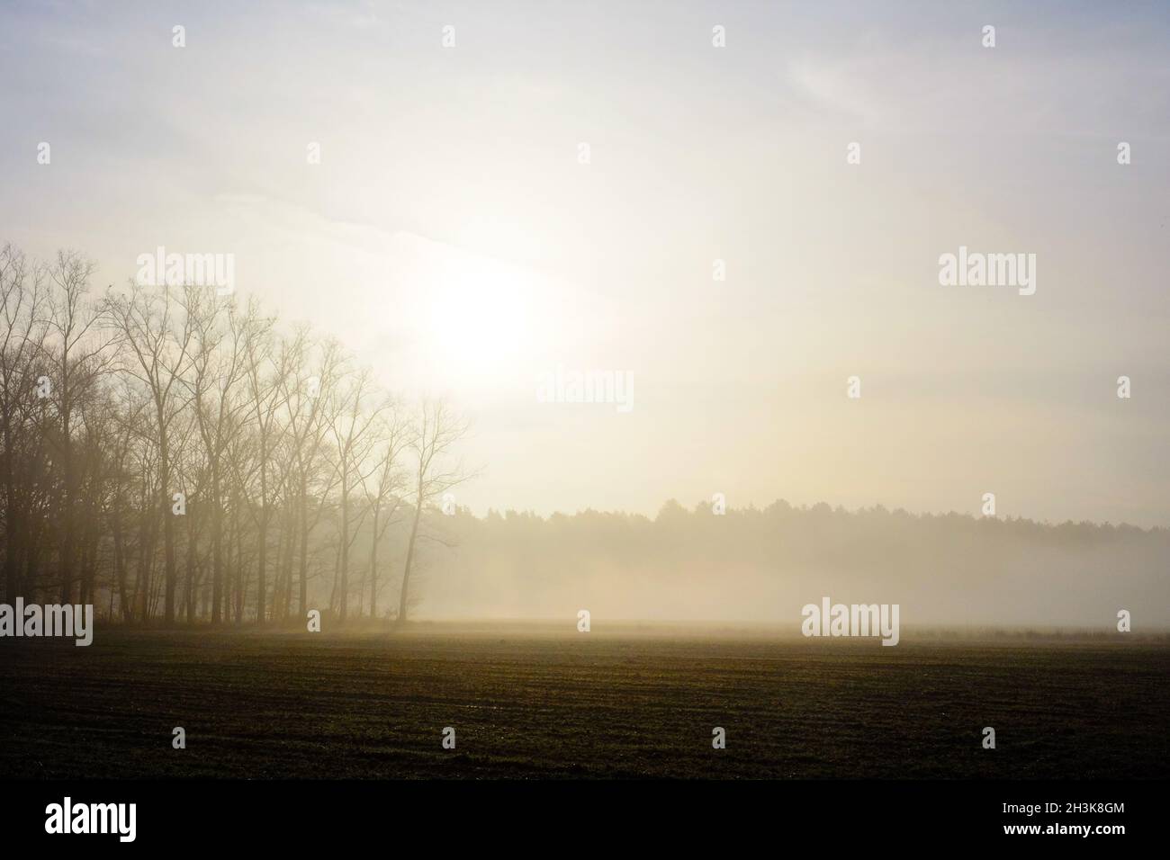 Lever de soleil brumeux Banque D'Images