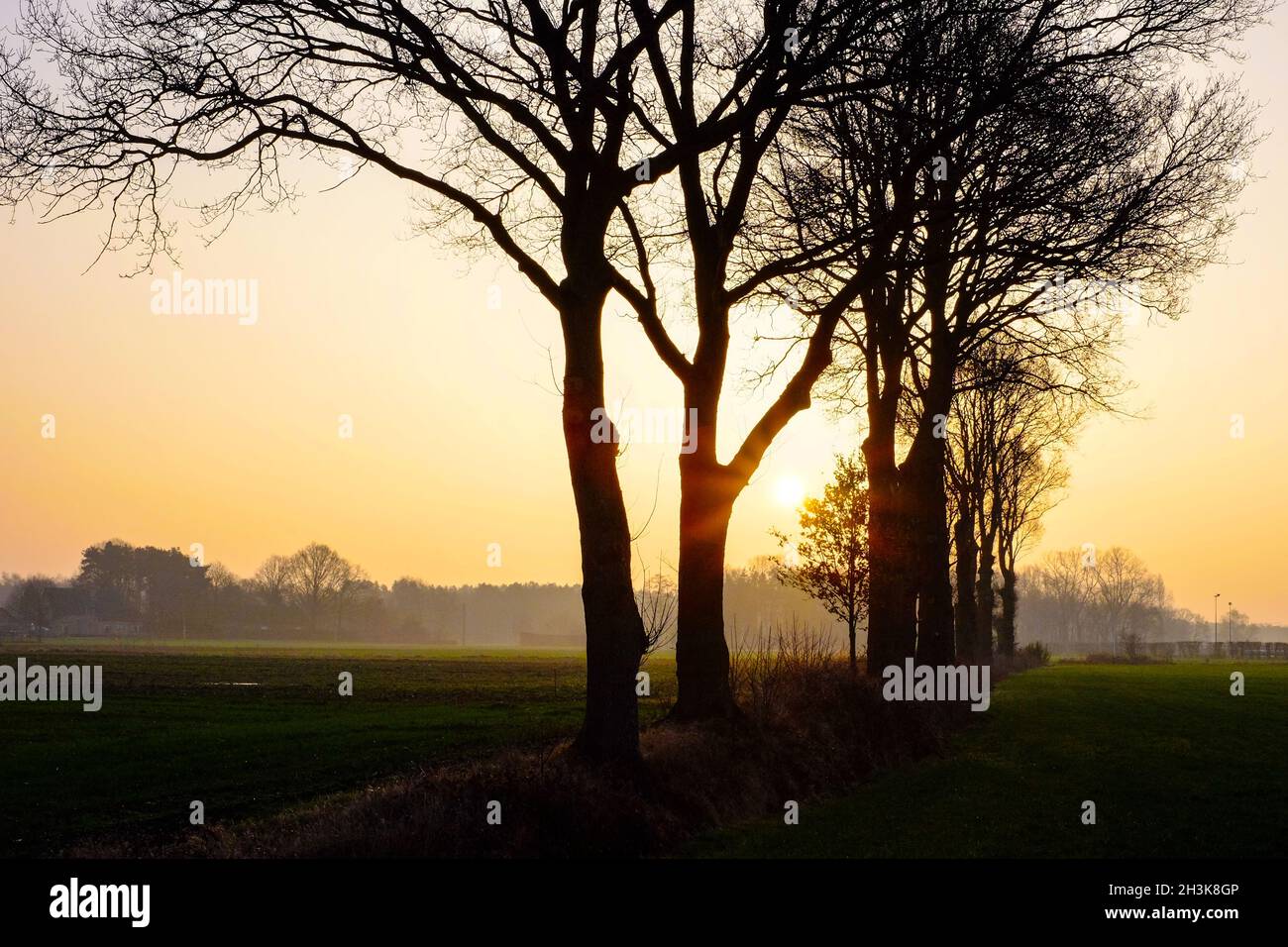 Lever de soleil brumeux Banque D'Images