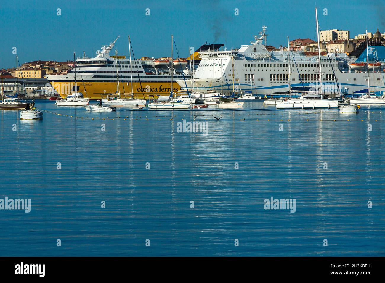 FRANCE.CORSE DU SUD (2A) AJACCIO.PORT DE PLAISANCE D'AMIRAUTÉ.LES FERRIES DE CORSE ET LES FERRIES MERIDIONALE AMARRÉS Banque D'Images