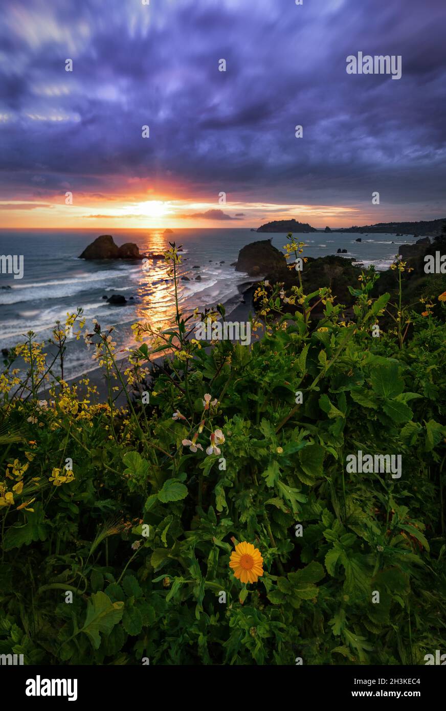 Un coucher de soleil en bord de mer dans le comté de Humboldt, Californie Banque D'Images