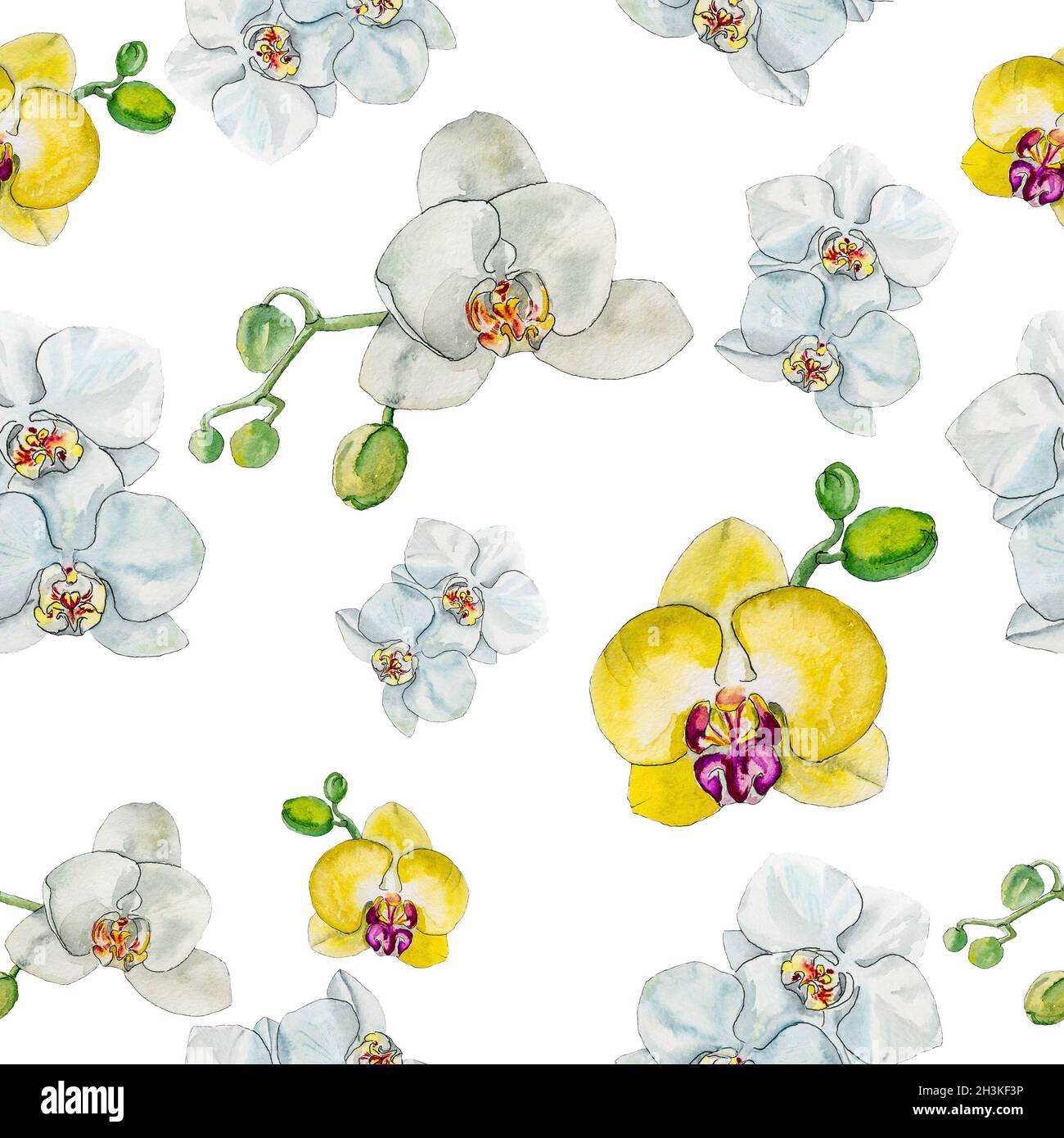 Belle aquarelle avec motif fleurs d'orchidées. Banque D'Images