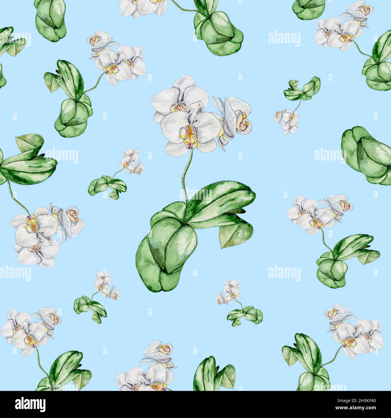 Motif aquarelle avec orchidées de fleurs et de feuilles. Banque D'Images