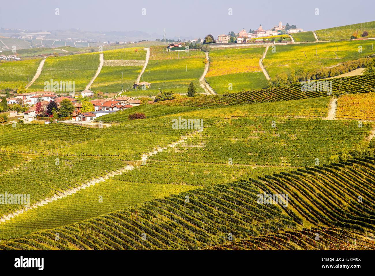 Le paysage viticole autour de la ville de Barbaresco, région Piémont, Italie.Barbarresco est un vin italien fait avec le raisin Nebbiolo, est classé comme Banque D'Images