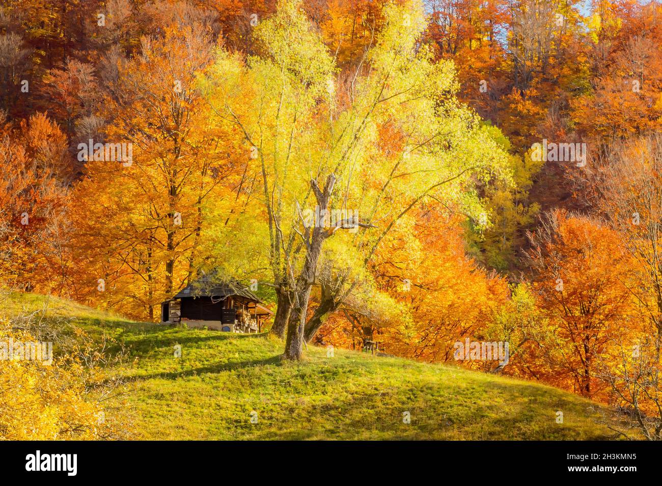 Automne dans le parc national de Buila Vanturarita, Carpathian Mountains, Roumanie.L'ermitage de Patrunsa est entouré par les couleurs vives de la forêt. Banque D'Images
