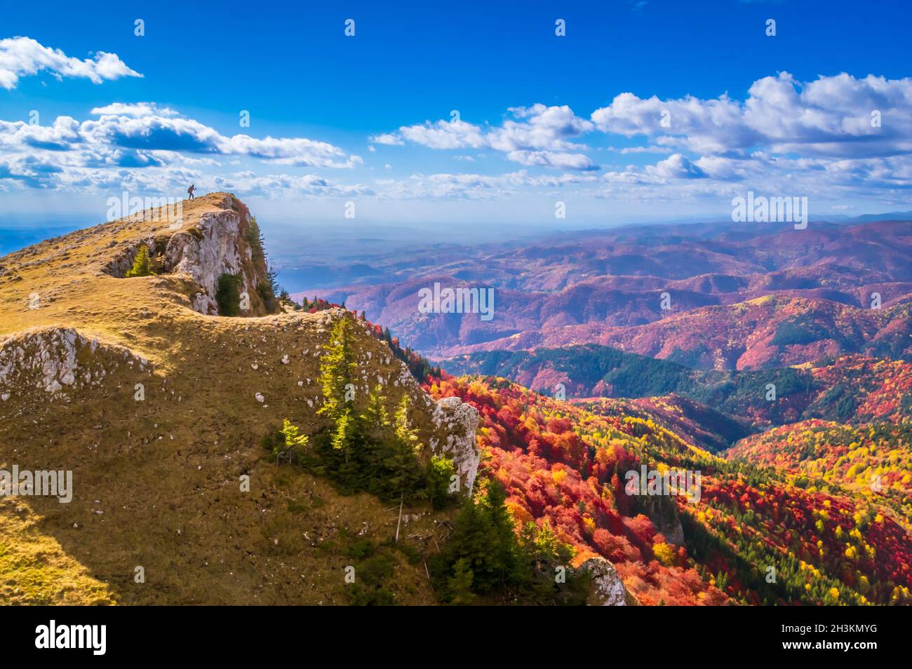 Automne dans le parc national de Buila Vanturarita, Carpathian Mountains, Roumanie.Couleurs vives de l'automne en forêt.Feuilles d'automne colorées.Vert, jaune, orange, Banque D'Images