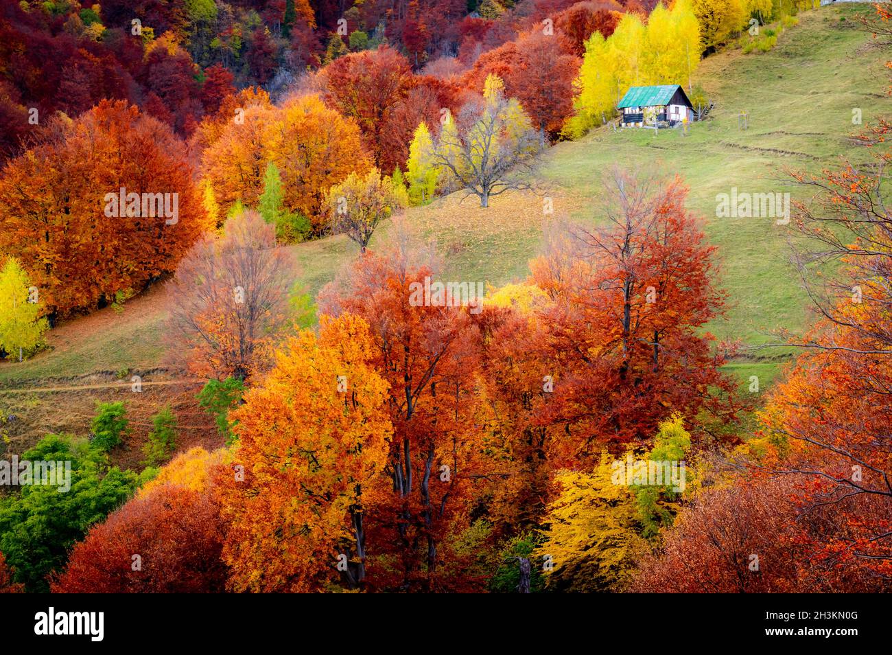 Automne dans le parc national de Buila Vanturarita, Carpathian Mountains, Roumanie.L'ermitage de Patrunsa est entouré par les couleurs vives de la forêt. Banque D'Images