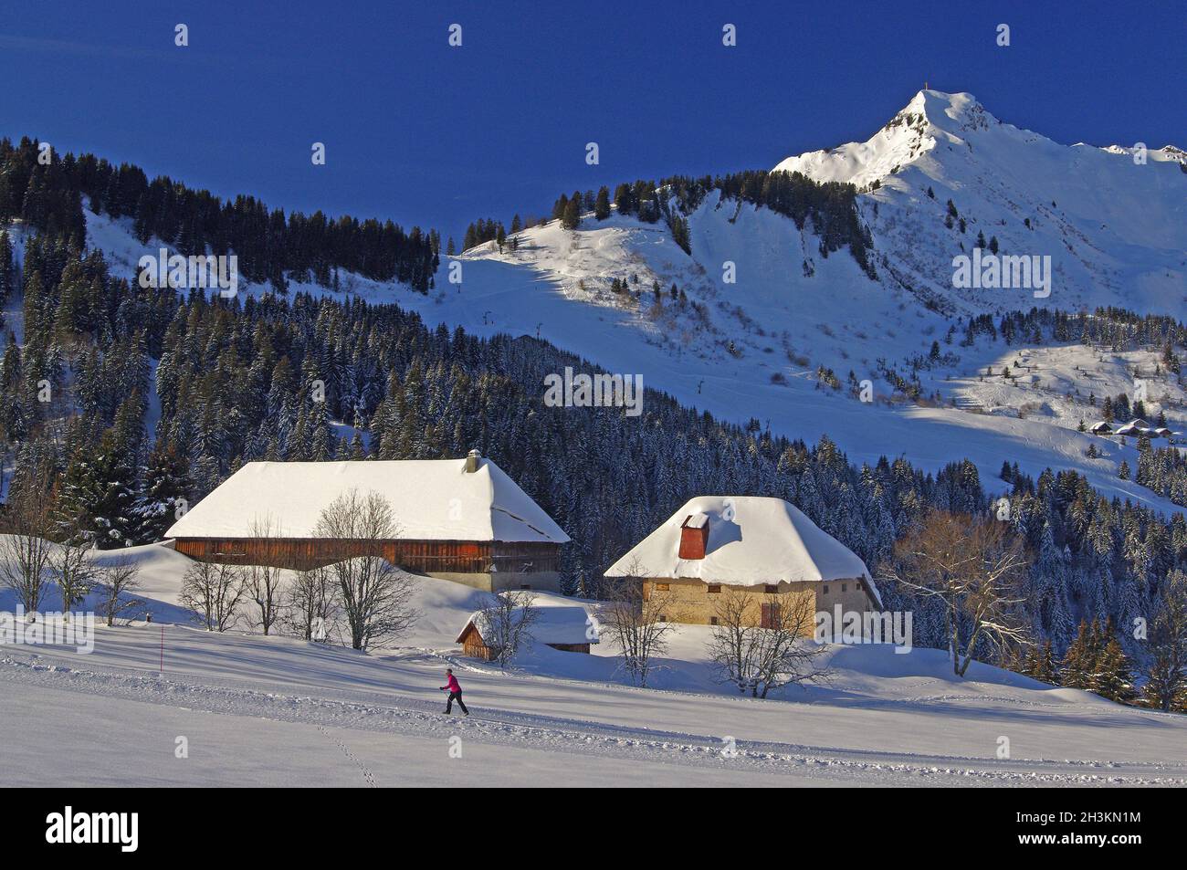 FRANCE.HAUTE SAVOIE (74) FERMES EN HIVER, DANS LA VALLÉE DU HAUT-GIFFRE, PLATEAU DE PRAZ DE LYS Banque D'Images