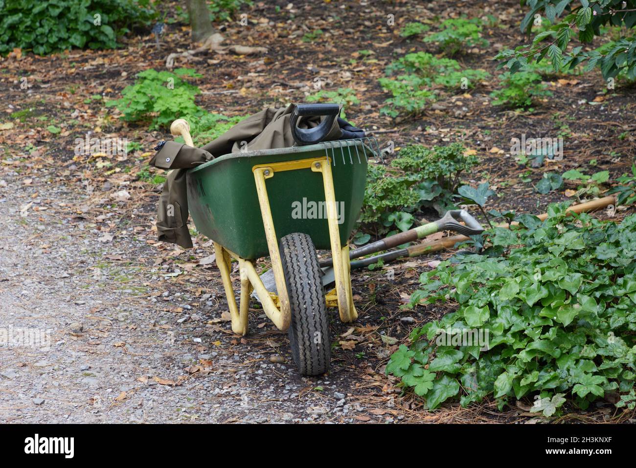 Brouette et outils vus dans le jardin. Banque D'Images