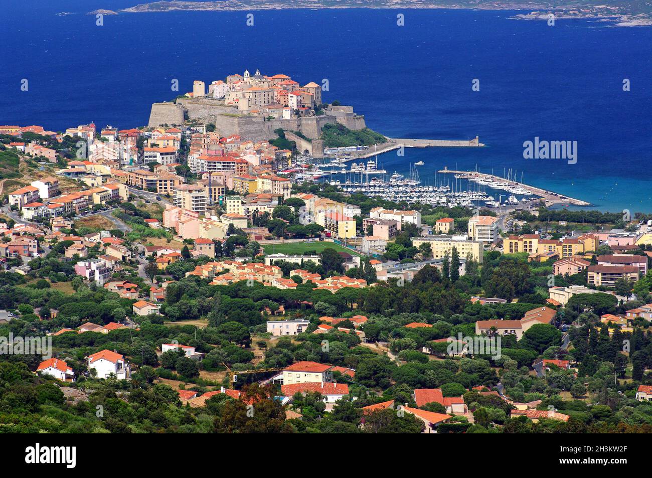 FRANCE.HAUTE-CORSE (2B) CALVI ET SA CITADELLE Banque D'Images