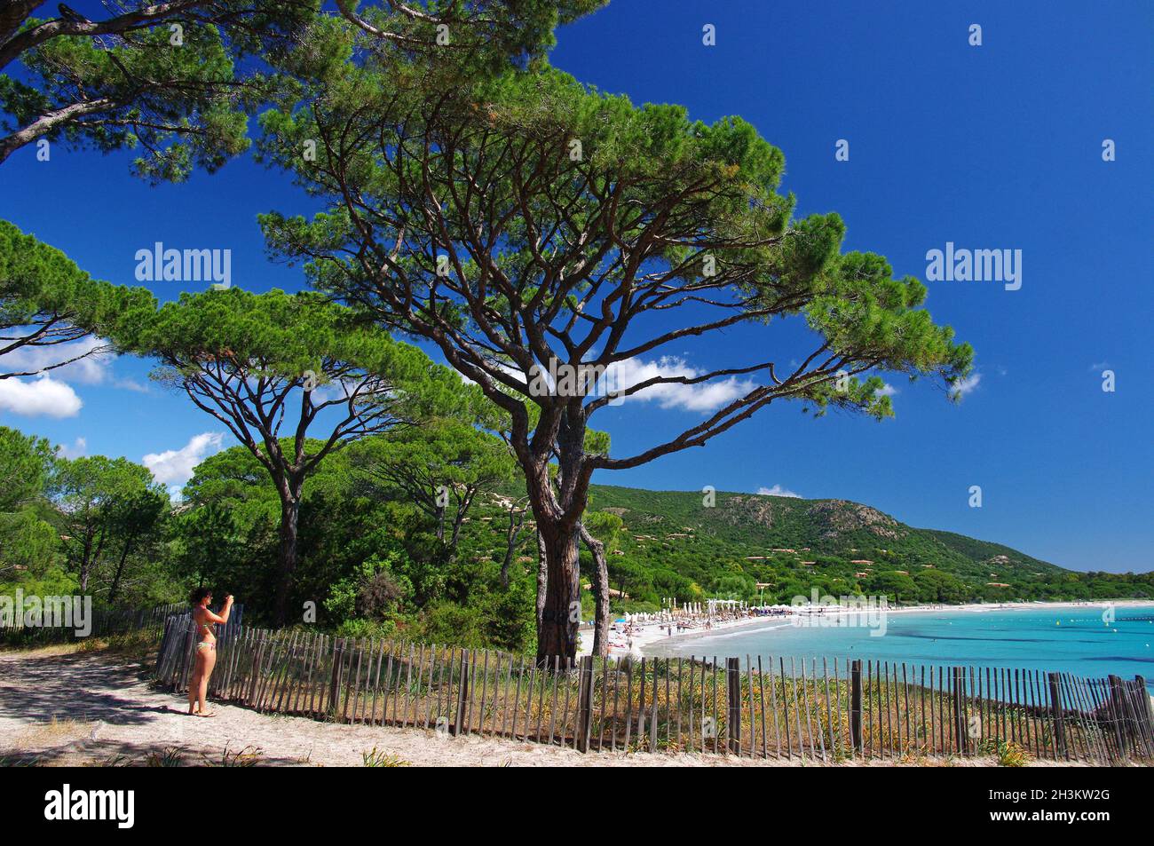 FRANCE.CORSE DU SUD (2A) PLAGE DE PALOMBAGGIA Banque D'Images