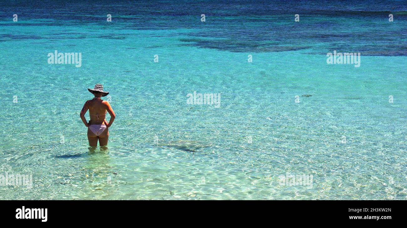 FRANCE.CORSE DU SUD (2A) PLAGE DE PALOMBAGGIA Banque D'Images