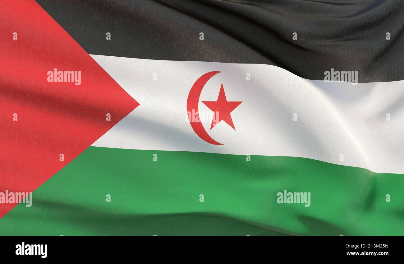 Battant pavillon national de la République démocratique arabe du Sahrawi. Rendu très détaillé en relief ondulé. Banque D'Images