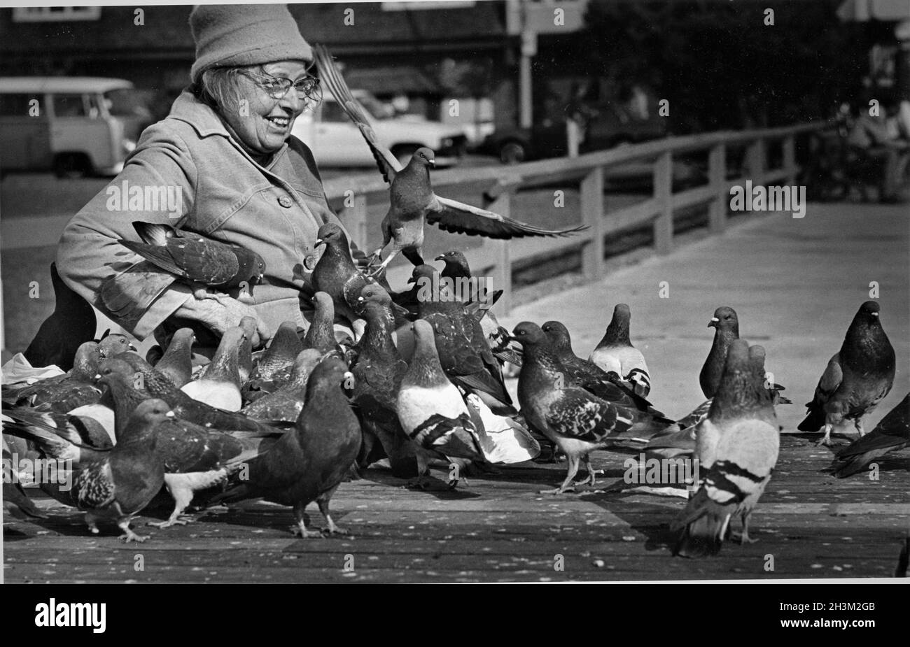 Vieille dame de long Beach qui a nourri des pigeons sur Ocean Blvd au-dessus de la plage, chaque jour, comme elle leur a parlé, elle est morte à la fin des années 70 Banque D'Images