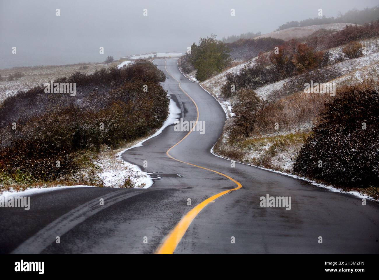 Route Cypress Hills Banque D'Images