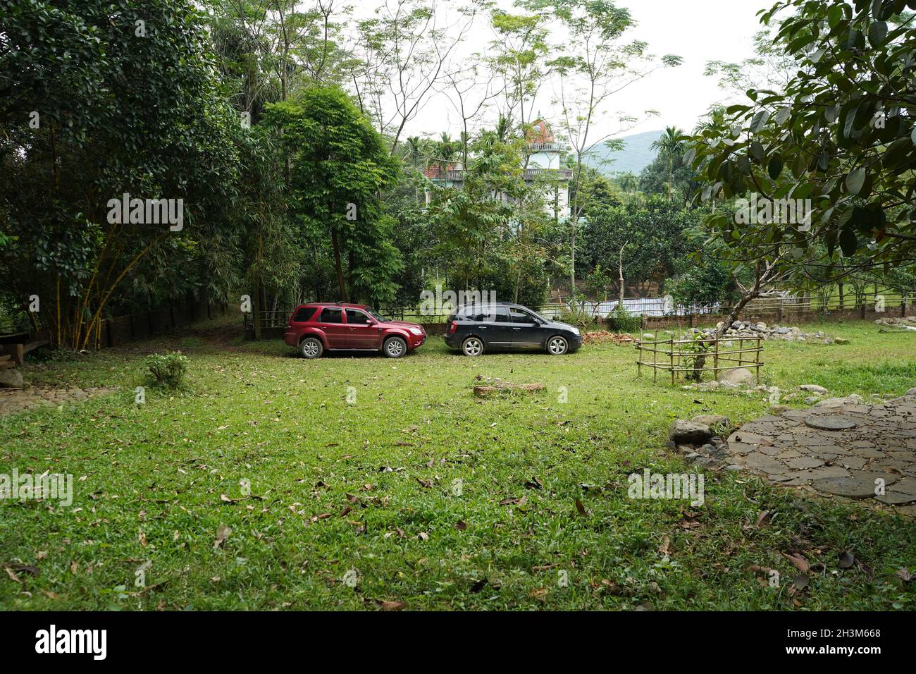 Voitures dans le jardin Banque D'Images