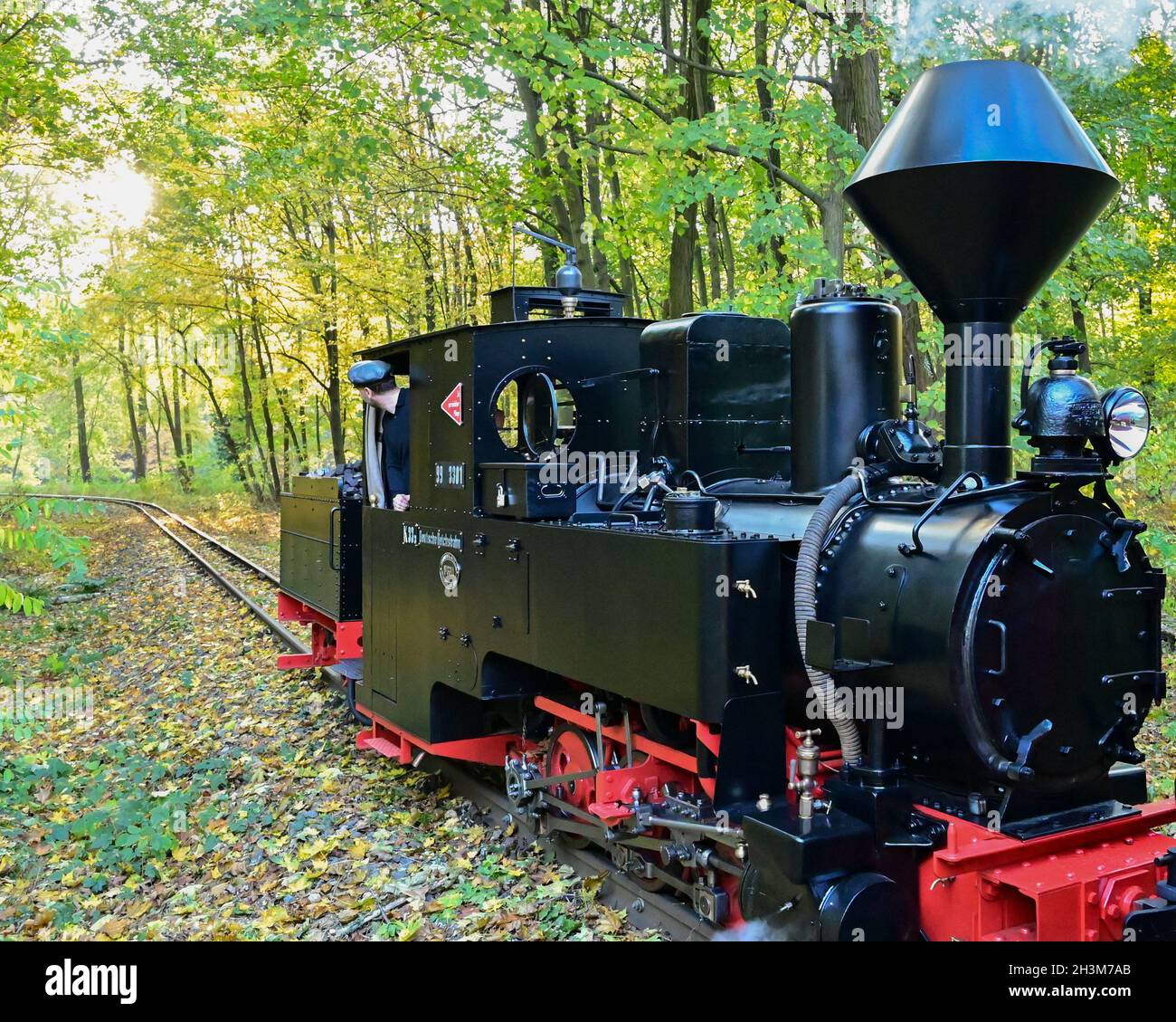 Cottbus, Allemagne.29 octobre 2021.La locomotive à vapeur 'Graf Arnim' du chemin de fer du parc de Cottbus avec une jauge de 600 millimètres traverse le paysage automnal près du parc Fürst Pückler à Branitz.Le même jour, la locomotive à vapeur de 1895 est officiellement de retour sur la voie étroite de 3.2 kilomètres de long pour la première fois après sa restauration.Le chemin de fer du parc Cottbus a été fondé en 1954.Credit: Patrick Pleul/dpa-Zentralbild/ZB/dpa/Alay Live News Banque D'Images