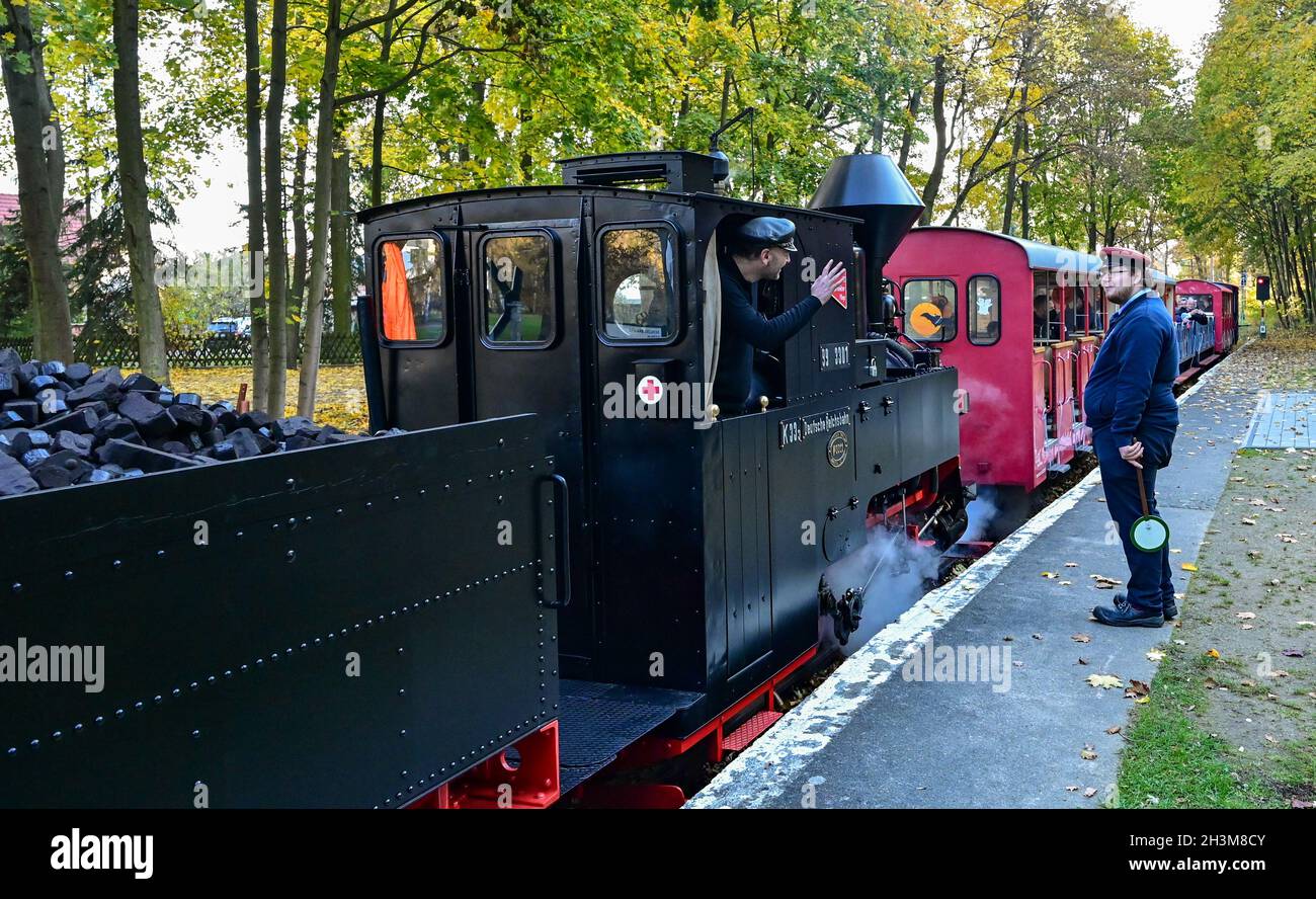 Cottbus, Allemagne.29 octobre 2021.La locomotive à vapeur 'Graf Arnim' de la voie ferrée du parc de Cottbus avec une jauge de 600 millimètres se trouve à la gare Fürst-Pückler-Park à Branitz.Le même jour, la locomotive à vapeur de 1895 est officiellement de retour sur la voie étroite de 3.2 kilomètres de long pour la première fois après sa restauration.Le chemin de fer du parc Cottbus a été fondé en 1954.Credit: Patrick Pleul/dpa-Zentralbild/ZB/dpa/Alay Live News Banque D'Images